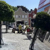 img_5600.jpeg
